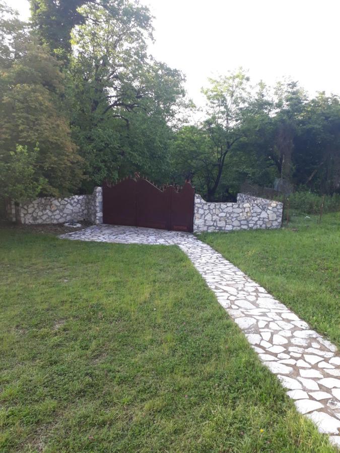 House At The Forest / Სახლი Ტყის Პირას Gordi Exteriör bild